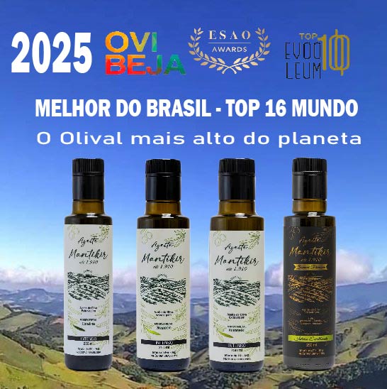 AZEITE MANTIKIR GRAPOLLO - SAFRA 2026 - Imagem 2