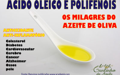 Acido oleico e polifenóis: os milagres do azeite de oliva